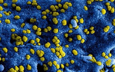 Voorjaarscompetitie afdeling Midden beëindigd vanwege coronavirus